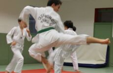 Taekwondo-Kick