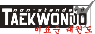 non-standard-Taekwondo.de